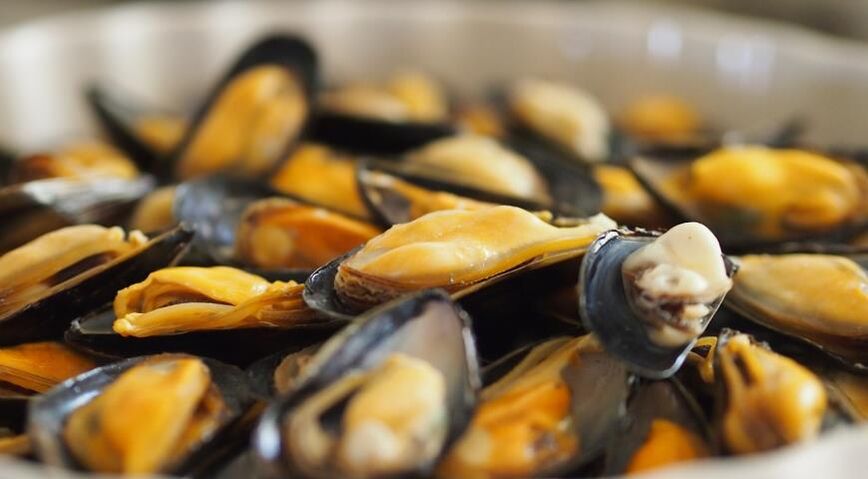 Moules au régime protéiné